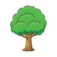 High resolution tree, Tree leaf, Cartoon tree vector