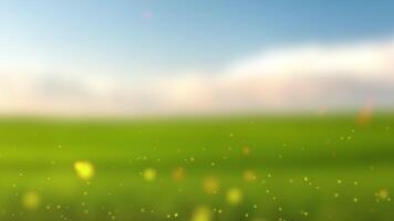 a green field with grass and sun rays video