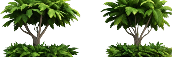 3D Jungle trees on isolated transparent background png