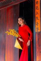 Vietnamese girl with Ao Dai dress standing in traditional house of Vietnam. Text in photo mean best wishes to family, happiness, prosperity, health. Tet holiday and New Year.