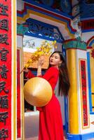 Vietnamese girl with Ao Dai dress standing in traditional house of Vietnam. Text in photo mean best wishes to family, happiness, prosperity, health. Tet holiday and New Year.