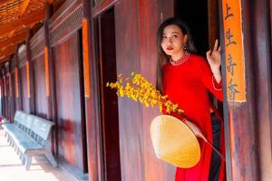 Vietnamese girl with Ao Dai dress standing in traditional house of Vietnam. Text in photo mean best wishes to family, happiness, prosperity, health. Tet holiday and New Year.