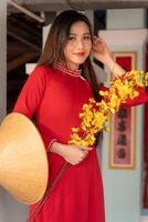 Vietnamese girl with Ao Dai dress standing in traditional house of Vietnam. Text in photo mean best wishes to family, happiness, prosperity, health. Tet holiday and New Year.