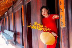 Vietnamese girl with Ao Dai dress standing in traditional house of Vietnam. Text in photo mean best wishes to family, happiness, prosperity, health. Tet holiday and New Year.