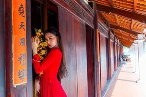 Vietnamese girl with Ao Dai dress standing in traditional house of Vietnam. Text in photo mean best wishes to family, happiness, prosperity, health. Tet holiday and New Year.