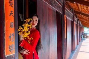 Vietnamese girl with Ao Dai dress standing in traditional house of Vietnam. Text in photo mean best wishes to family, happiness, prosperity, health. Tet holiday and New Year.