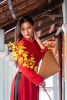 Vietnamese girl with Ao Dai dress standing in traditional house of Vietnam. Text in photo mean best wishes to family, happiness, prosperity, health. Tet holiday and New Year.