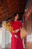Vietnamese girl with Ao Dai dress standing in traditional house of Vietnam. Text in photo mean best wishes to family, happiness, prosperity, health. Tet holiday and New Year.