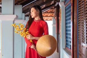 Vietnamese girl with Ao Dai dress standing in traditional house of Vietnam. Text in photo mean best wishes to family, happiness, prosperity, health. Tet holiday and New Year.