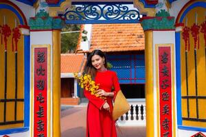 Vietnamese girl with Ao Dai dress standing in traditional house of Vietnam. Text in photo mean best wishes to family, happiness, prosperity, health. Tet holiday and New Year.