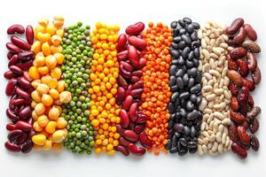 Colorful variety of beans and lentils arranged in horizontal rows photo