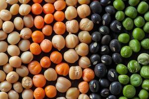 Colorful arrangement of various types of beans and peas in separate vertical columns photo