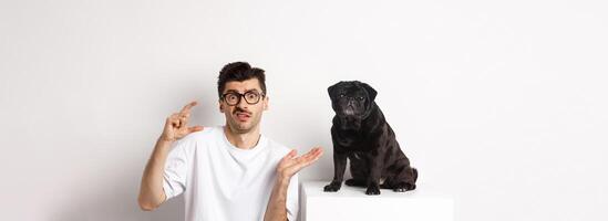 Image of puzzled young man sitting near cute black pug, showing small size and shrugging confused, white background. photo
