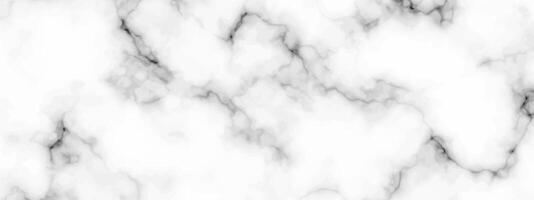 White marble texture background vector