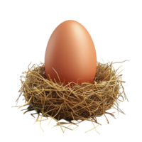 Single Brown Egg Nestled in Bed of Straw Facing Forward on Transparent background AI-Generative png