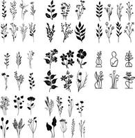 A diverse set of floral and botanical silhouette illustrations showcasing various plant and flower designs. This collection includes detailed and minimalist styles, perfect for use in graphic design vector