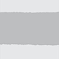 set of paper. Paper and elements for scrapbooking. set of paper sheets vector