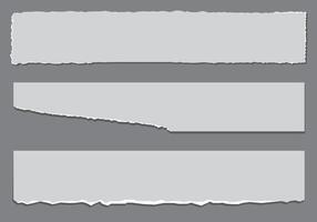 set of paper. Paper and elements for scrapbooking. set of paper sheets vector