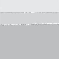 set of paper. Paper and elements for scrapbooking. set of paper sheets vector