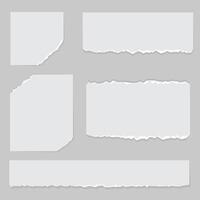 set of paper. Paper and elements for scrapbooking. set of paper sheets vector