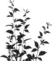 Plant silhouette with leaves white background vector