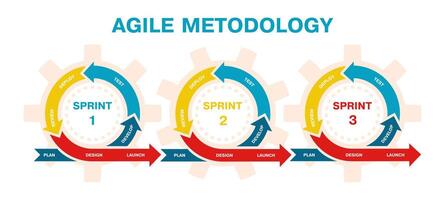 Agile project management, development methodology infographic. Agile software development lifecycle process sprints illustration. Agile development diagram vector