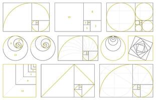 Golden section, fibonacci numbers, ideal proportions ratio. Geometry harmony gold fibonacci spiral ratio, illustration set. Spiral proportion elements vector