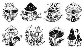 Celestial mushroom. Hand drawn mystical magic mushrooms with moon and stars, sakral psychedelic trip illustration set vector