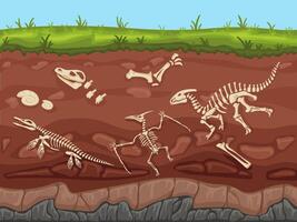 Soil layers with fossils. Ground layers with dinosaur bones and fossil skeletons, paleontology excavations cartoon illustration vector