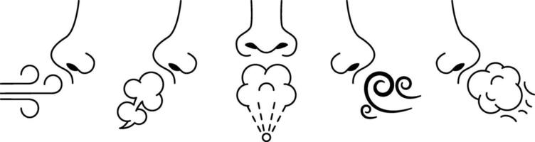 Sniff nose. Sense of smell, human breath and smelling. Inhale air and aromas Illustration set vector