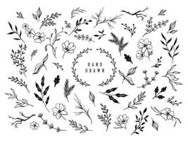 Hand drawn floral ornaments. Decorative flower, leaf and branch for wedding invitation design. Nature elements set vector