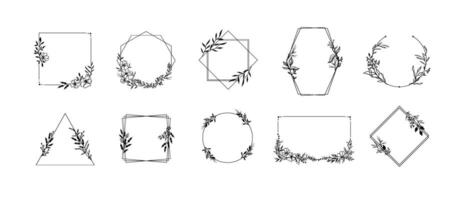 Floral ornaments frames. Geometric borders with herbs leafs, flower ornaments and leafy branches set vector