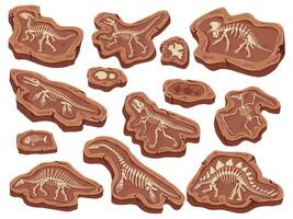 Cartoon fossils. Dinosaurs fossilization, ancient fish bones and ammonite shell. Paleontology digging, animal skeleton museum illustration vector