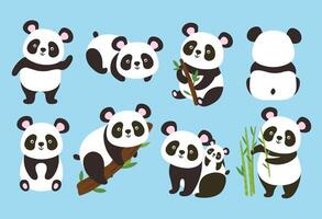 Cartoon pandas. Cute baby bear with bamboo and tree branches, panda in different poses illustration set vector