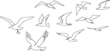 Flock of seagulls. Seabirds flying together, one line seagull and ocean birds sketch illustration vector
