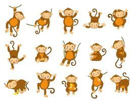 Cute monkey. Cartoon wild animals in different poses, funny ape monkeys and primate character set vector