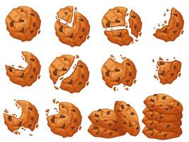 Chocolate chip cookie. Broken and bitten dessert with crumbs around. Pile of cookies set vector