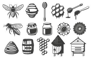Stencil honey. Bee icon, honeycomb cells and apiary beehive. Honey dipper and glass jars Illustrations set vector