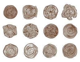 Pine log cut. Forest tree rings, natural sawn and trunk cross section. Wooden circle rings stencil set vector