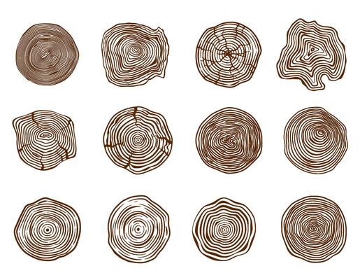 Pine log cut. Forest tree rings, natural sawn and trunk cross section. Wooden circle rings stencil set