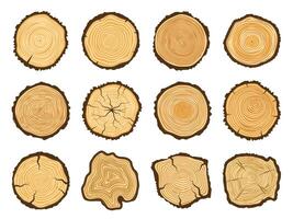 Tree trunk cross section. Round pine logs, forest wood circle and tree rings illustration set vector