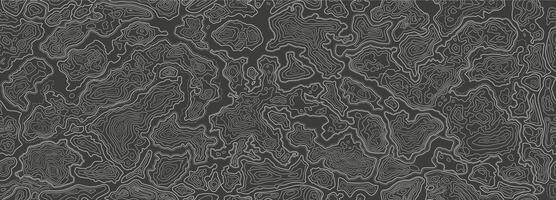 Contour map. Topographic texture with topo lines of relief, abstract geographic background and seamless terrain pattern illustration vector