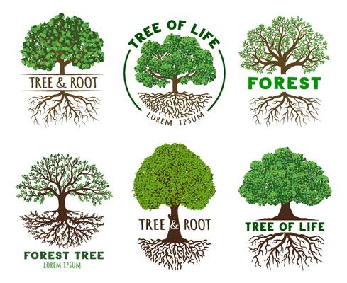 Life tree emblem template. Wisdom and harmony trees with roots, vibrant leaves on branches illustration set