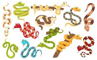 Cartoon snakes in various poses. Anaconda mascot, cute snake and funny tropical reptile characters set vector