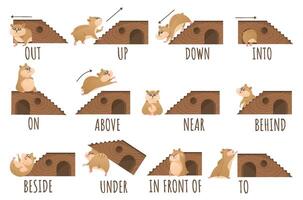 Learn prepositions of place and movement. Hamster character in different positions, cute animal educational cartoon Illustration set vector