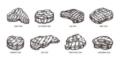 Sketch steak. Hand drawn beef food, engraving bbq meat strip, club and ribeye steaks set vector