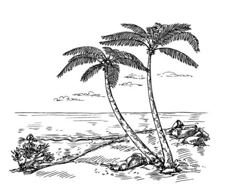 Sketch landscape with palm tree. Vacation on tropical beach, paradise by ocean hand drawn background illustration