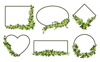 Green ivy frame. Botanic border, evergreen leaves and vines frames in square, ellipse, rhombus, and heart shapes set vector