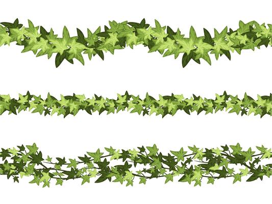 Seamless green ivy horizontal dividers. Botanical border, climbing vine and branch line cartoon set