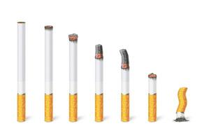 cigarrillo quemar etapas tabaco ardiente proceso desde nuevo cigarrillo a extremo aislado ilustración conjunto vector